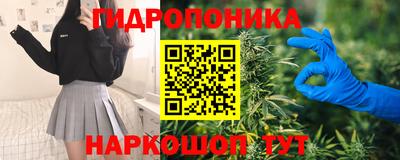 эйфоретик Гусь-Хрустальный