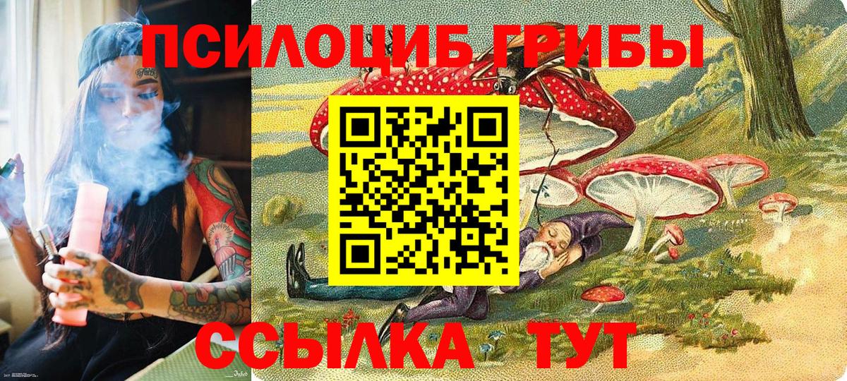 Галлюциногенные грибы GOLDEN TEACHER  Вход с VPN  Малгобек 